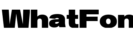 Kritik ExtraBold