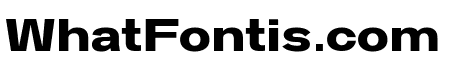 Kritik Bold
