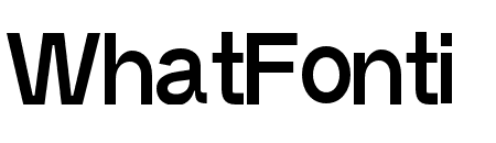 NON Natural Grotesk Bold