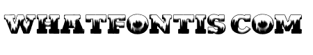 SNOMELT PERSONAL USE Regular