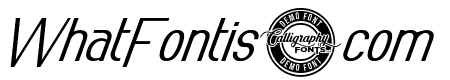 True Private Demo Italic