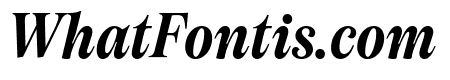 Tartuffo MediumItalic