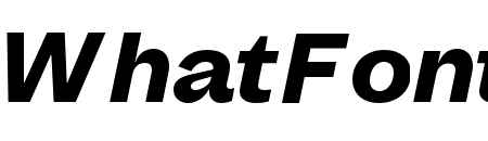 MintGroteskDisplay ExtraBoldItalic