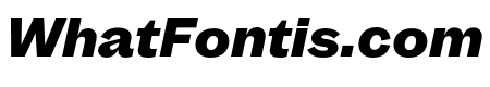 MintGroteskDisplay BlackItalic