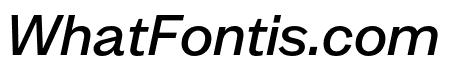 MintGrotesk MediumItalic