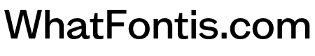 MintGrotesk Medium