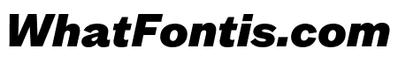 MintGrotesk BlackItalic