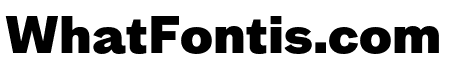 MintGrotesk Black