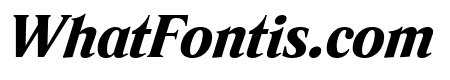 Rando BlackItalic