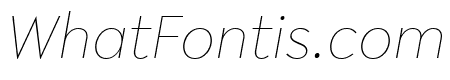 Lelo ThinItalic
