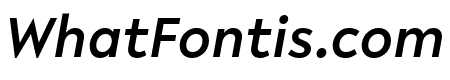 Lelo MediumItalic
