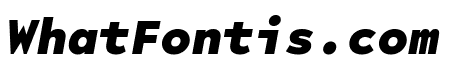 LeloMono BlackItalic