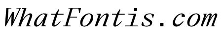 ElizaMono RegularItalic