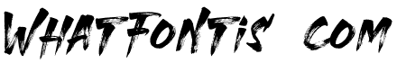 THESTRANGERFONTDUO