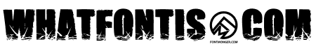 Impact Brutas