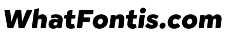 Cerco DEMO Black Italic