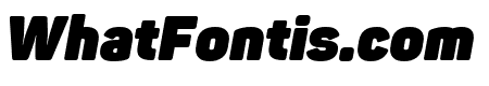 Panton-Trial Heavy Italic