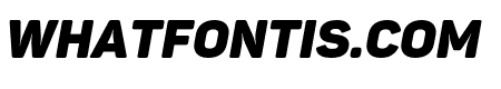 Panton Black Demo Italic