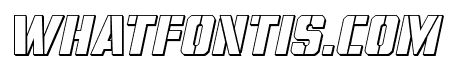 Free Shipping 3D Italic