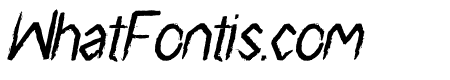 Surf Breaks Italic