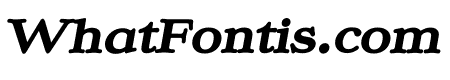 Ekorre PERSONAL USE ONLY Black Italic