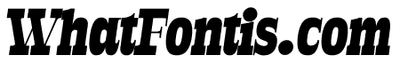 Rabento PERSONAL USE ONLY Black Italic
