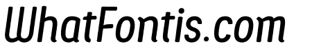 Ledare Medium Italic PERSONAL USE ONLY