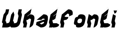 COMPUTER Bold Italic
