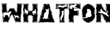 Love Cat