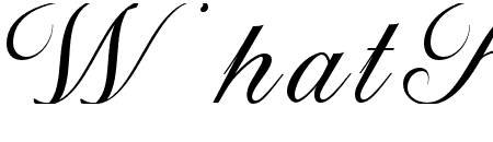 Parliament Script