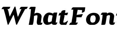 Argumend Black Italic