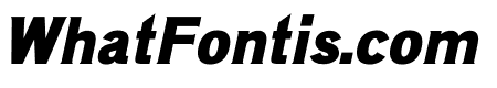 ARENA ITALIC
