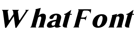 Dishcek Italic