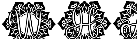 Vine Mandala Monogram
