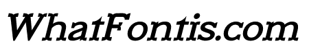 New Marion Italic
