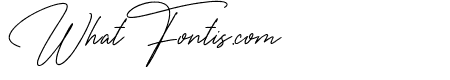 The Wedding Signature Regular