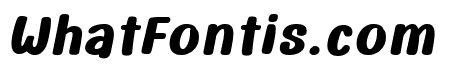 PUAI Bold Italic