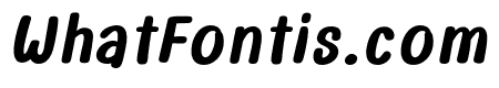 PUAI-Italic