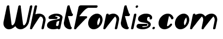 Fashion Style Bold Italic