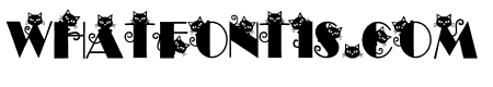 Cute Little Cat Regular