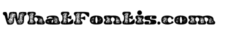 Antia Notario Texture