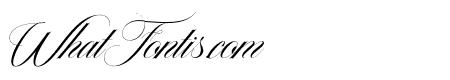 TheDellgadoItalic