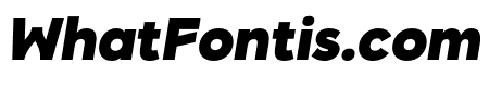 Ponjoung-BlackItalic