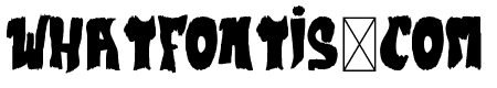 Black Cat Bold