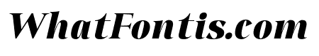 QiaDisplay-BlackItalic