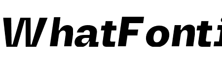 Maginer Bold Italic