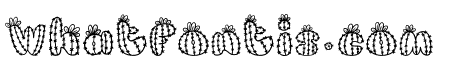 Gymno Calycium