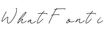 Abandone Musstare Italic