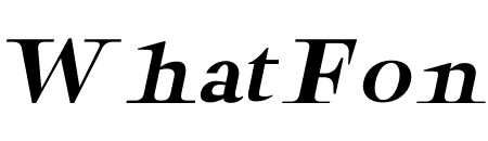 ROVEK ITALIC