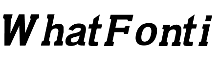 SKINEX BOLD ITALIC